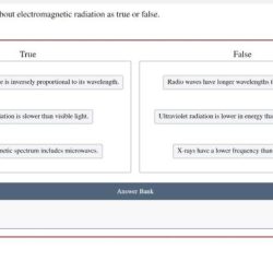 Classify electromagnetic statement solved false has radiation true cach transcribed problem text been show answer